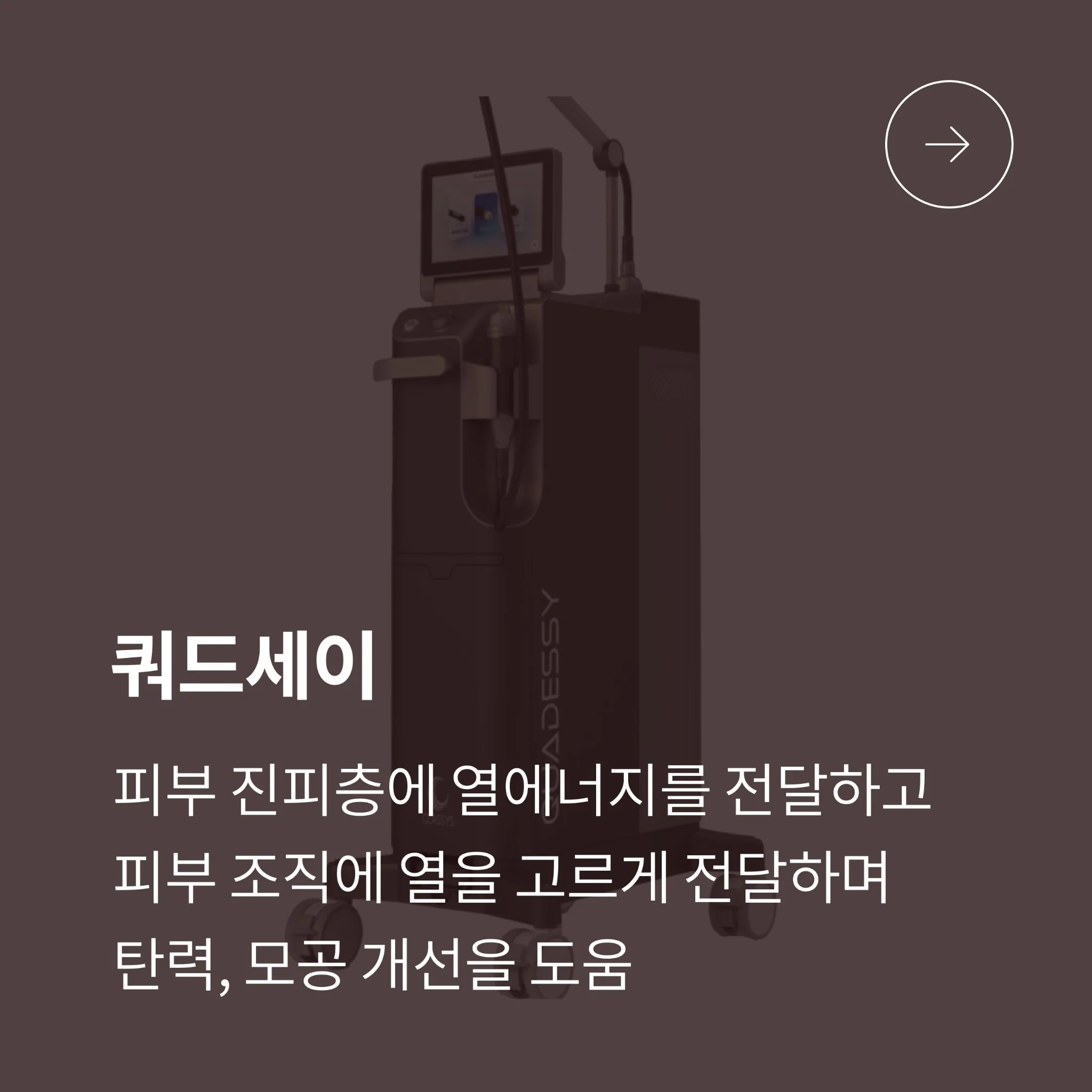 쿼드세이